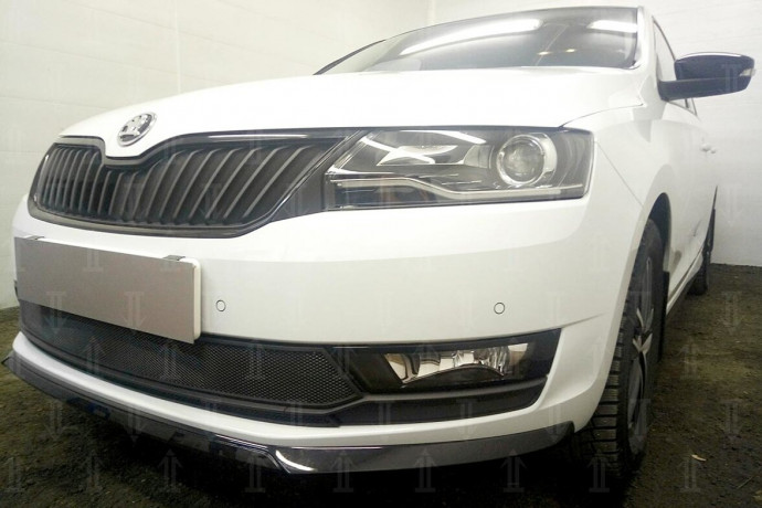 Защита радиатора "Standart" Skoda Rapid (2017-2020) чёрная купить недорого с доставкой в Москва