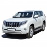 Защита порогов «Труба» (d40) для Toyota Land Cruiser 150 (2009-2016)(Окрашенное) купить недорого с доставкой в Москва