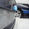 Защита радиатора "Standart" Skoda Fabia (2010-2015), Roomster (2011-2015) хром купить недорого с доставкой в Москва