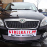 Защита радиатора "Standart" Skoda Fabia (2010-2015), Roomster (2011-2015) хром купить недорого с доставкой в Москва