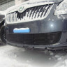 Защита радиатора "Standart" Skoda Fabia (2010-2015), Roomster (2011-2015) чёрная купить недорого с доставкой в Москва